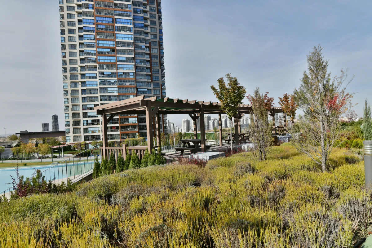 Pergola Uygulamaları